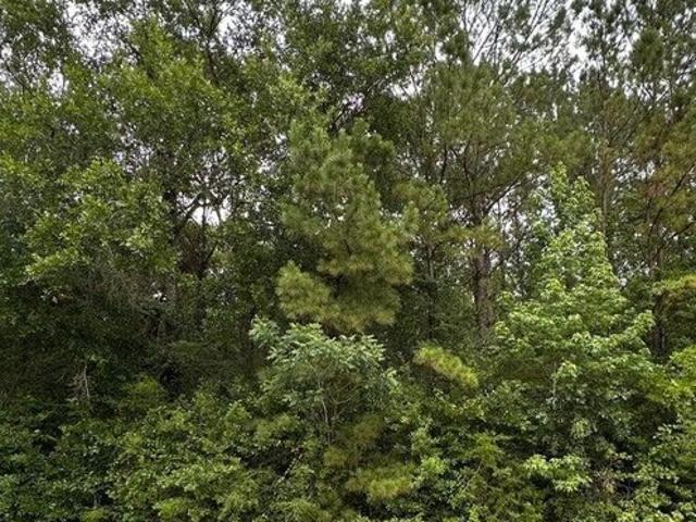 Land for sale in Moss Point, Mississippi