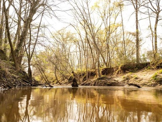 Land for sale in Eupora, Mississippi