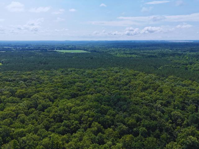 Land for sale in Choctaw, Mississippi