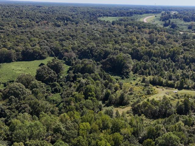 Land for sale in Tchula, Mississippi