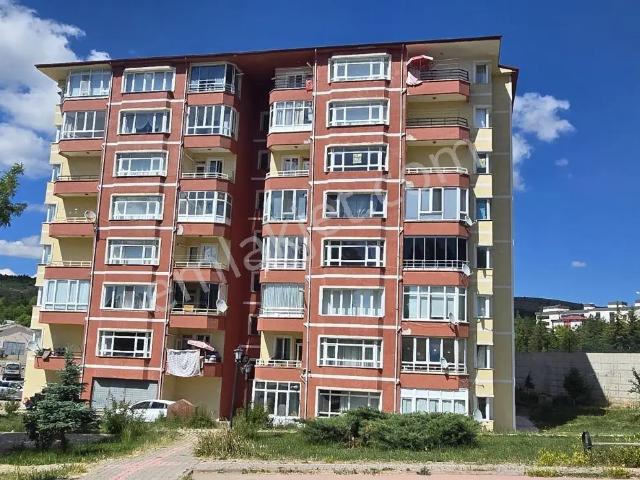 Yozgat Merkez, Yozgat içerisinde kiralık mülk