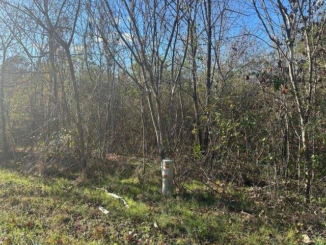 Land for sale in Tennessee