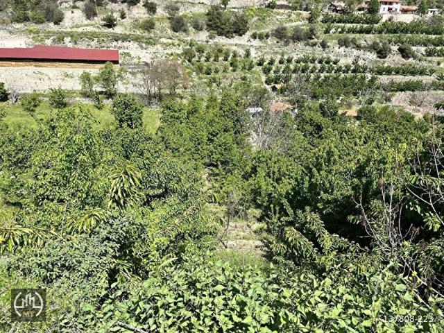 Amasya Merkez, Amasya içerisinde satılık mülk