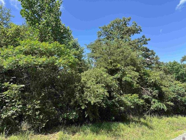 Land for sale in Dawson Springs, Kentucky