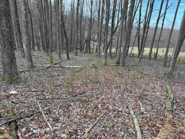 Land for sale in West Virginia
