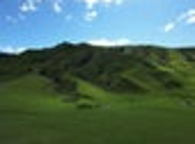 Land for sale in Raurimu