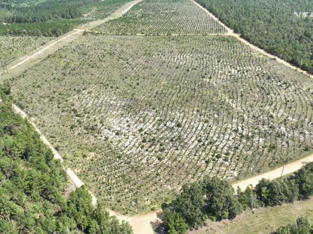 Land for sale in Wrens, Georgia