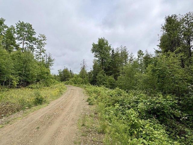 Land for sale in Lee, Maine