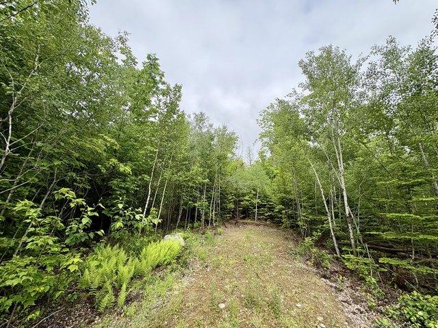 Land for sale in Lee, Maine