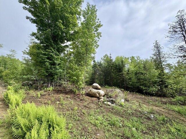 Land for sale in Lee, Maine