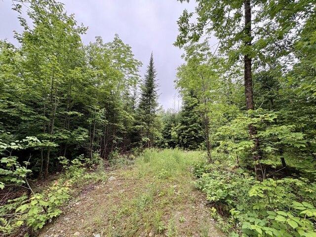 Land for sale in Lee, Maine