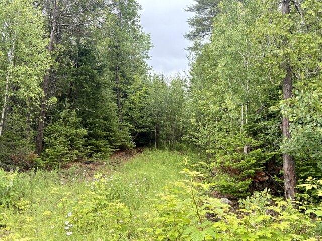 Land for sale in Lee, Maine