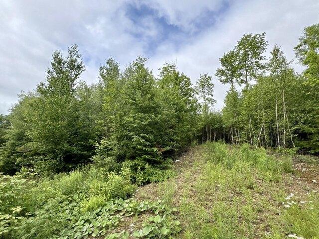 Land for sale in Lee, Maine