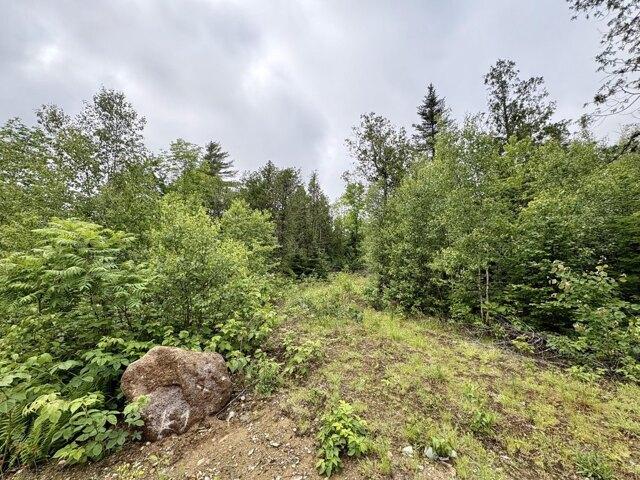 Land for sale in Lee, Maine