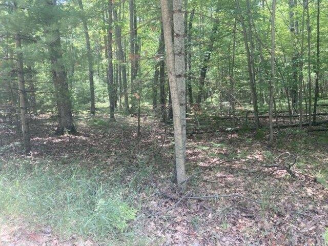 Land for sale in Spruce
