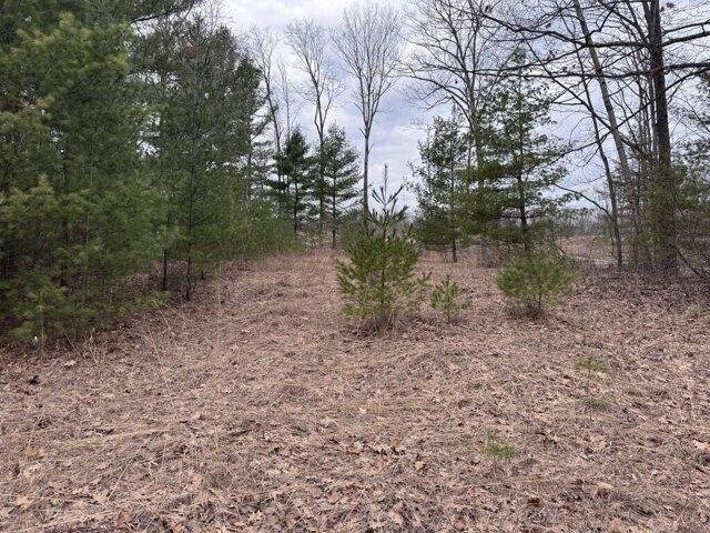 Land for sale in Hubbard Lake Land for sale in Hubbard Lake