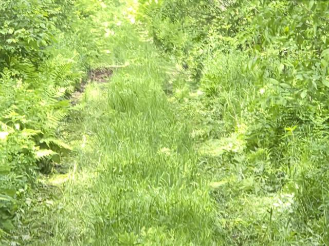 Land for sale in Carlton, Minnesota