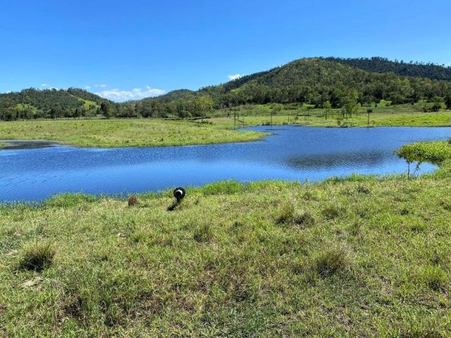 Cottage for sale in Mount Ossa, Queensland