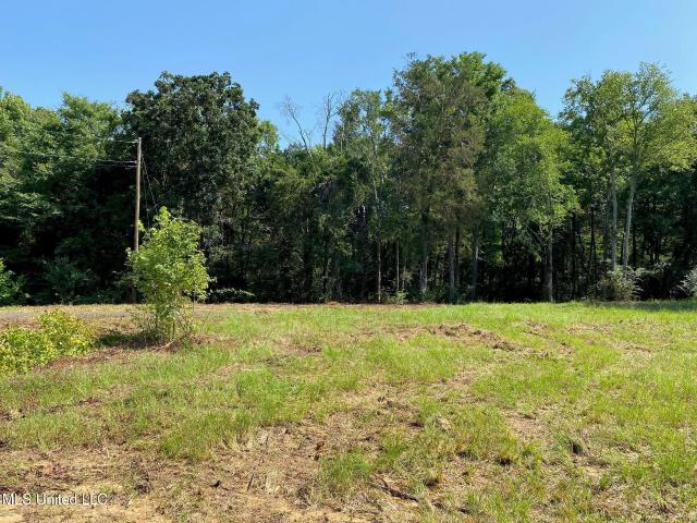 Land for sale in Byhalia, Mississippi