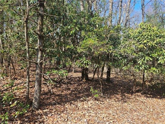 Land for sale in Alleghany, North Carolina