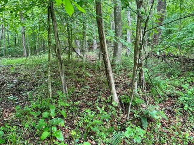 Farm for sale in Irvine, Kentucky