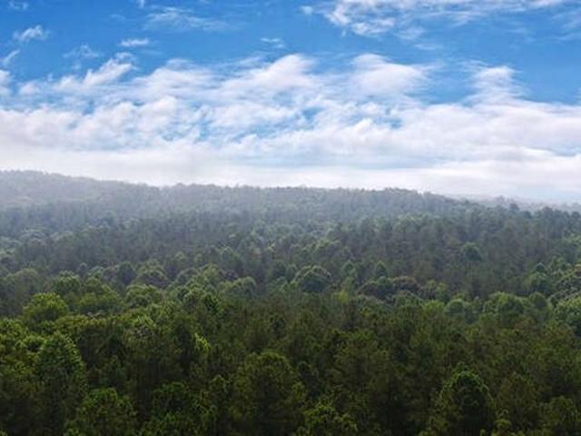 Land for sale in Lula, Georgia