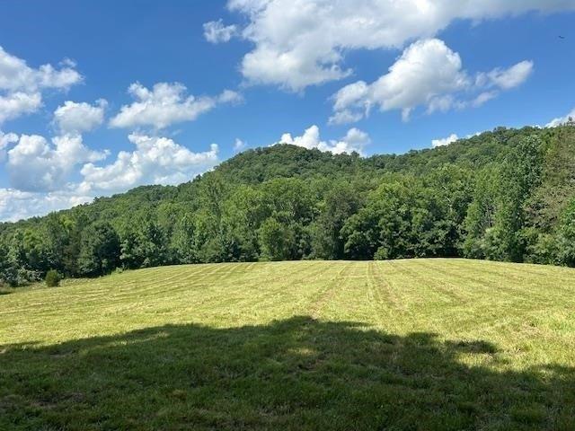 Land for sale in Knifley, Kentucky