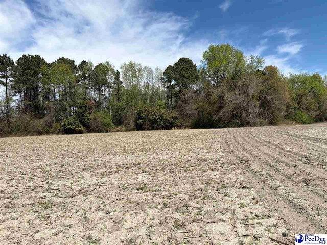 Land for sale in Dillon, South Carolina