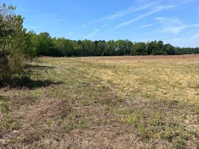 Land for sale in Dillon, South Carolina