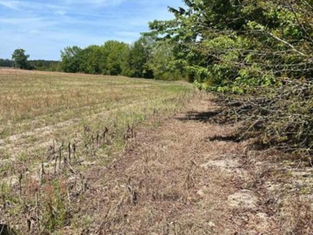 Land for sale in Dillon, South Carolina