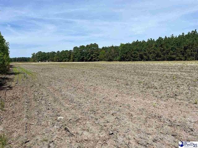 Land for sale in Dillon, South Carolina