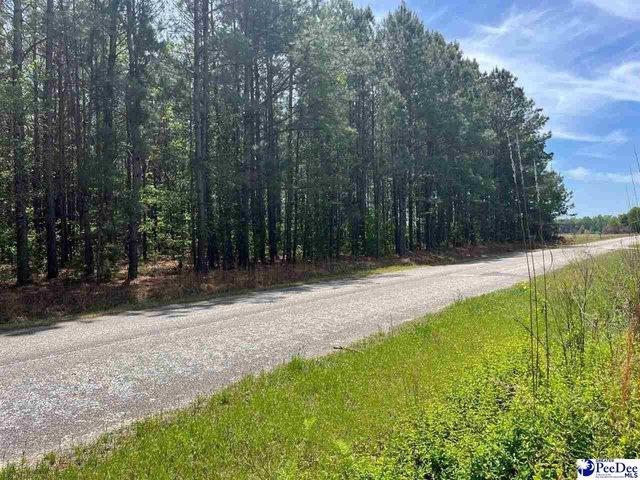 Land for sale in Dillon, South Carolina