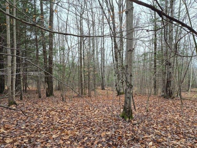 Land for sale in Farmington, Maine
