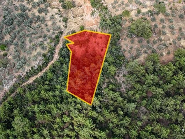 Muğla içerisinde satılık Arsa