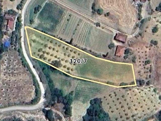Muğla içerisinde satılık Arsa