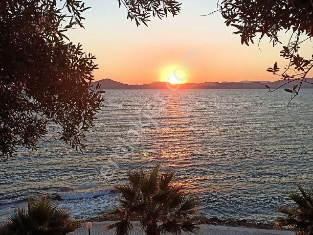 Milas, Muğla içerisinde satılık mülk
