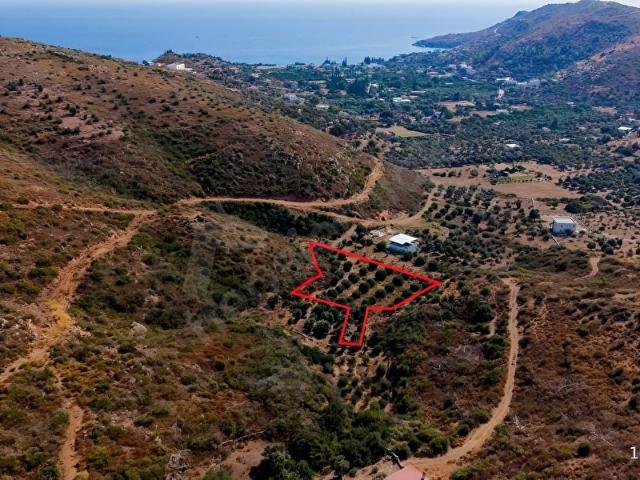 Bodrum, Muğla içerisinde satılık mülk