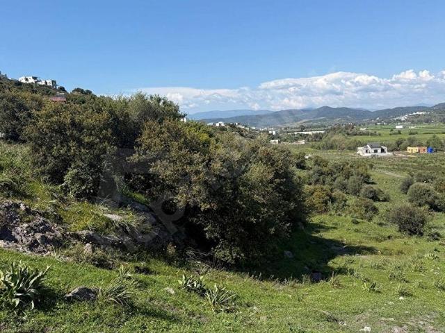 Milas, Muğla içerisinde satılık Arsa