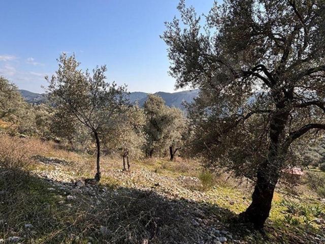 Dalaman, Muğla içerisinde satılık Arsa
