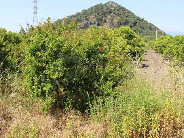 Ortaca, Muğla içerisinde satılık Arsa