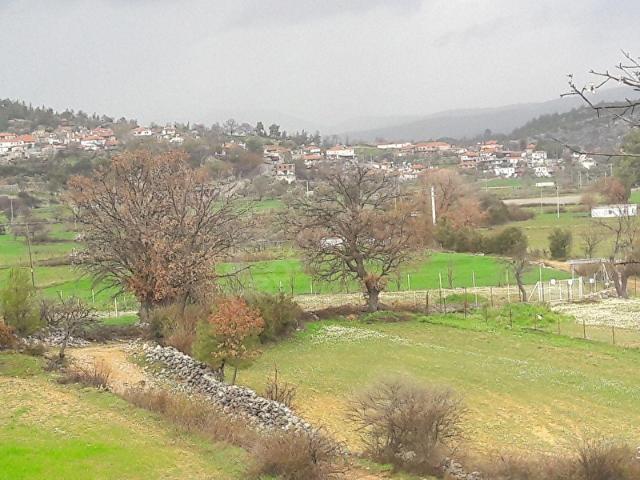 Muğla Merkez, Muğla içerisinde satılık Arsa