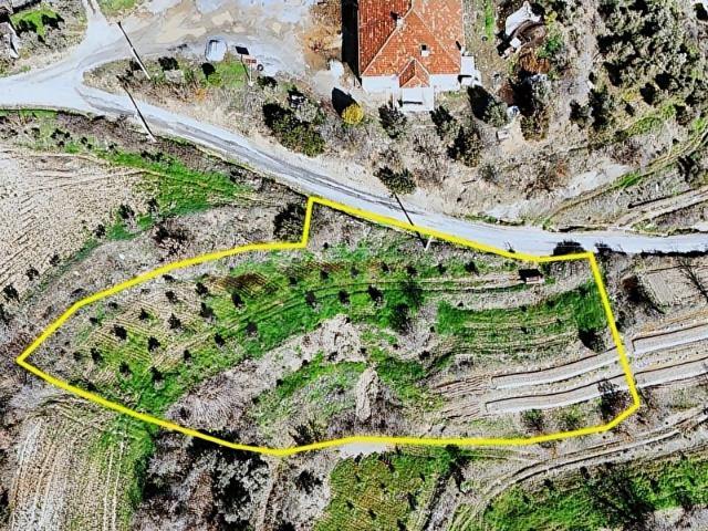 Muğla içerisinde satılık Arsa
