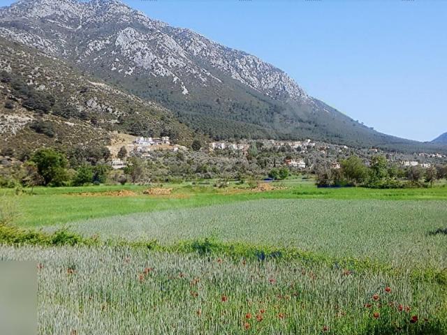 Fethiye, Muğla içerisinde satılık mülk