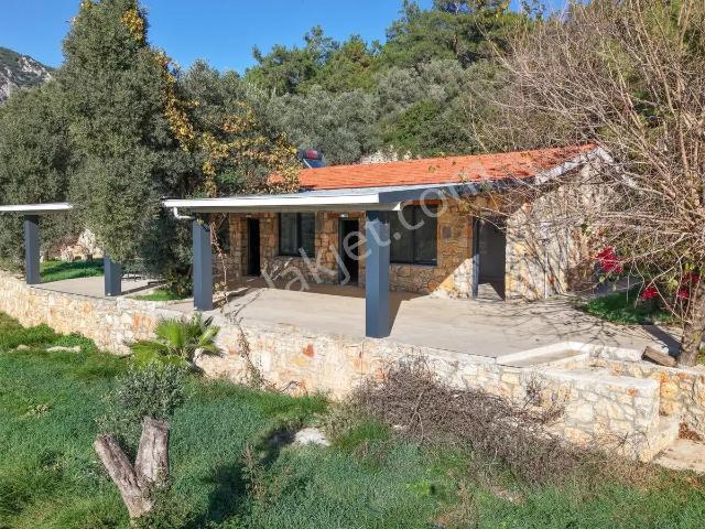 Ula, Muğla içerisinde kiralık Villa