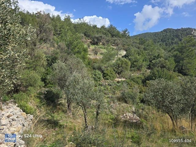Milas, Muğla içerisinde satılık mülk