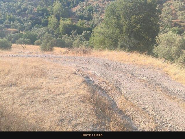 Milas, Muğla içerisinde satılık mülk