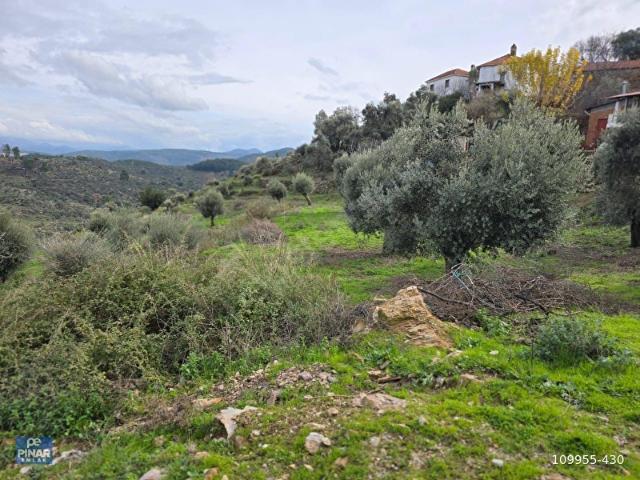 Milas, Muğla içerisinde satılık mülk