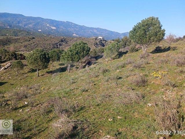 Kavaklidere, Muğla içerisinde satılık Arsa