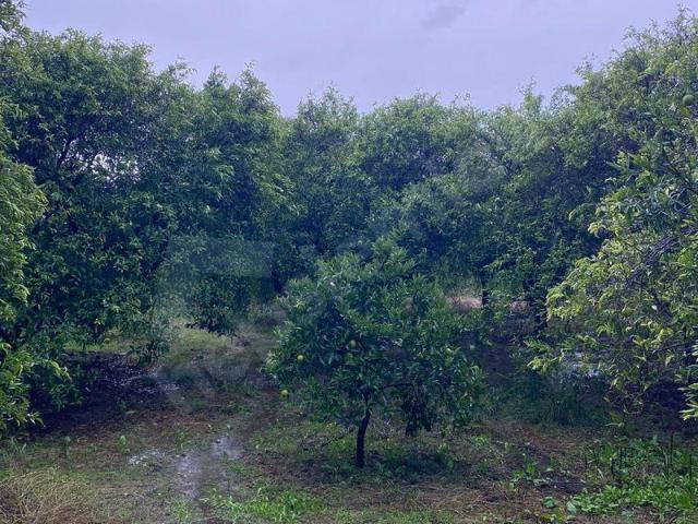 Toparlar Mahallesi, Köyceğiz içerisinde satılık Arsa