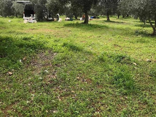 Köyceğiz, Muğla içerisinde satılık Arsa